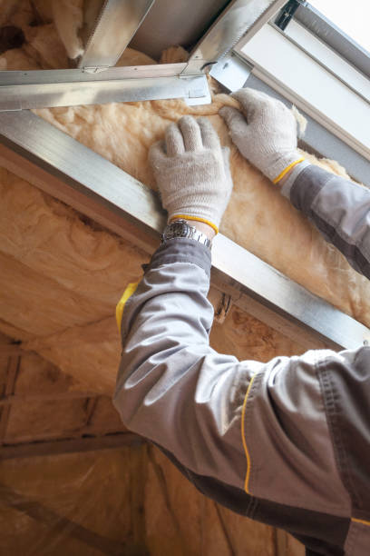 Best Cellulose Insulation in Hydro, OK